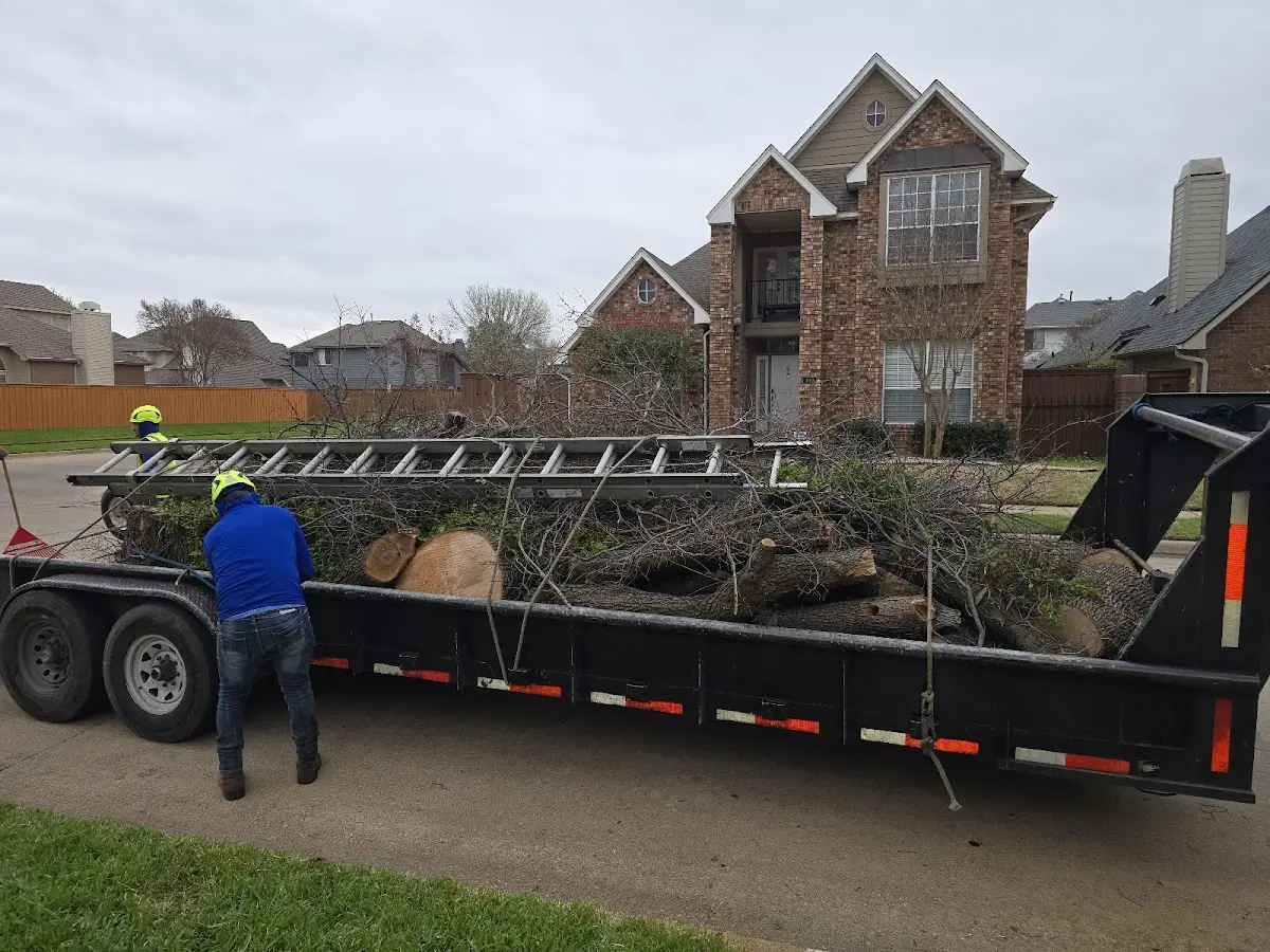 Expert Tree Fertilization with proper safety equipment in Athol